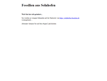 Tablet Screenshot of fossilien-solnhofen.de